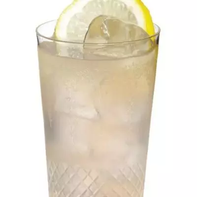 Gin Punch No. 1