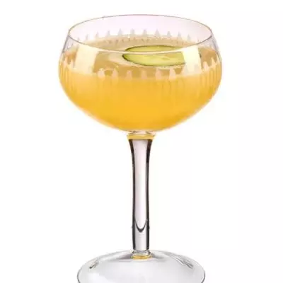 Fresh Cocktail