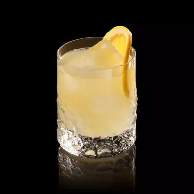 Gin Stone Sour
