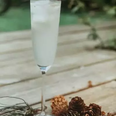 Forest Fizz with Pine Candied Lemon