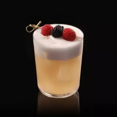 Wild Berry Vodka Sour