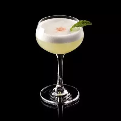 Bold Botanist Gin Sour