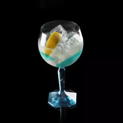 Artist's Gin & Tonic