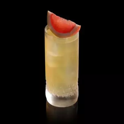 Bee Paloma
