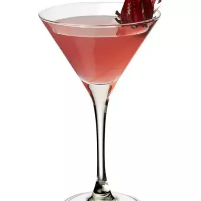 Hibiscus Margarita