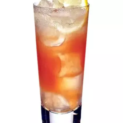 Gansevoort Fizz