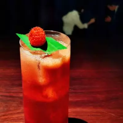 Berry Jungle
