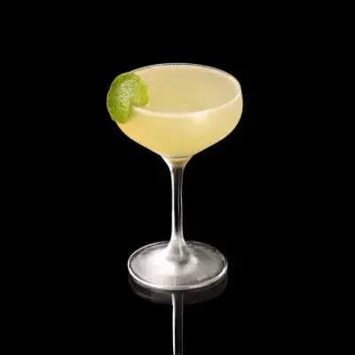 Dublin Minstrel