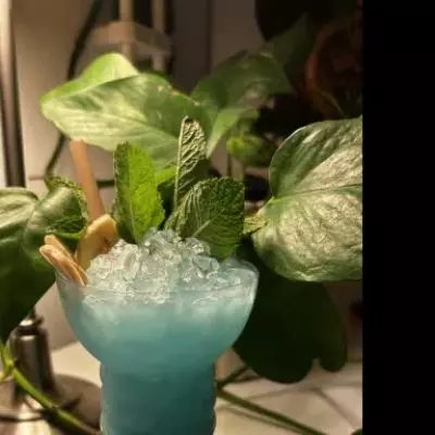 Funki Monki