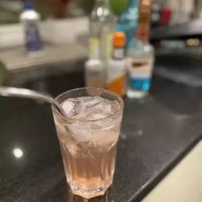 Gin sour and tonic