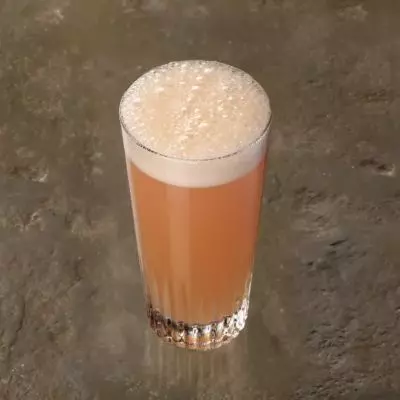 Grapefruit Whisky Fizz