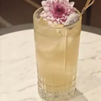 金梅香韵