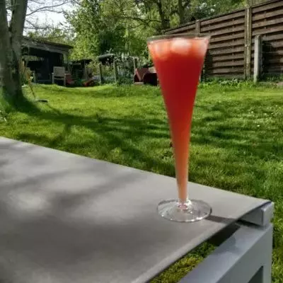 Tripod Berry
