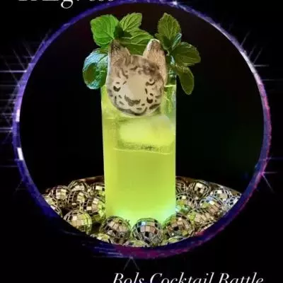 Roaring TAIgress