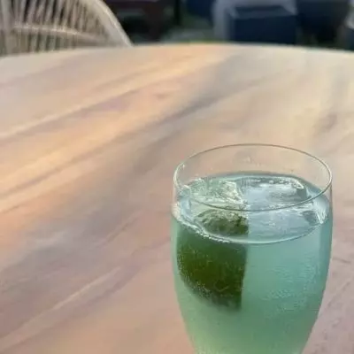 Blue Paloma Dream