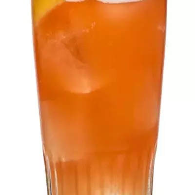 The Salty Bird
