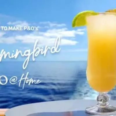 P&O Hummingbird