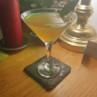 Gin Gibbon