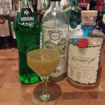 Japanese Polder