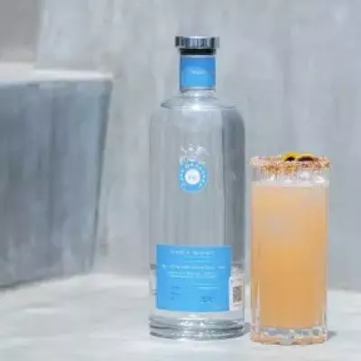 Paloma Med-Mex