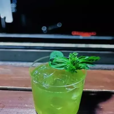 暹罗猫