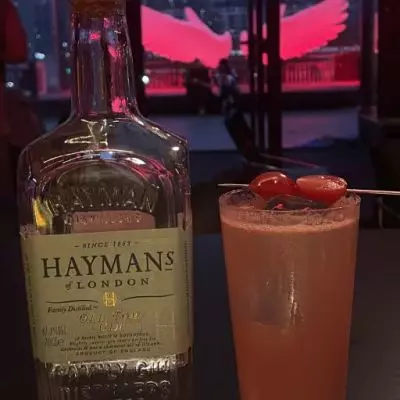 Tomato Gin Fizz