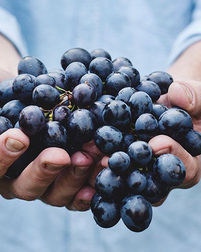 Organic farming NATULIQUE Vegan products