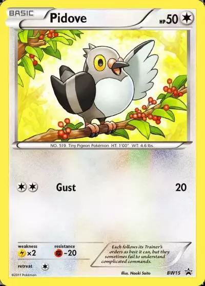Pidove BW15/101 BW Black Star Promos Pokemon card