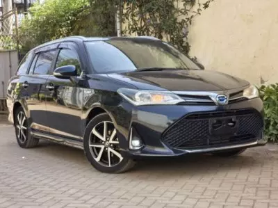 TOYOTA Fielder WXB