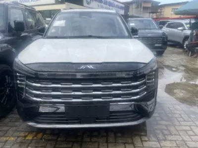 JAC JS 6