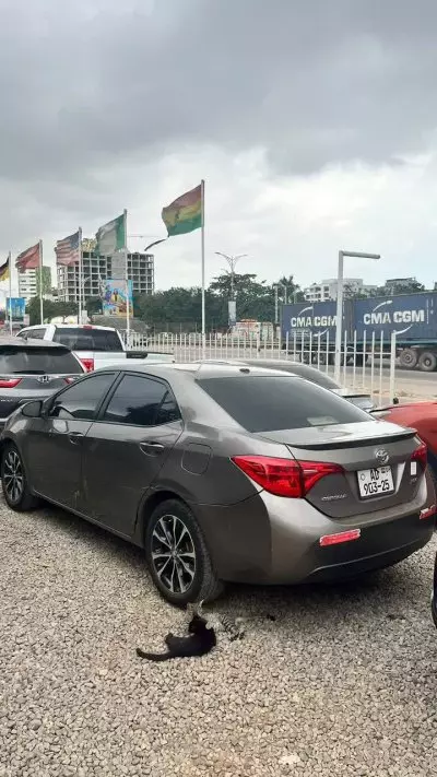 TOYOTA Corolla