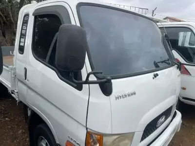 Hyundai Gold Truck