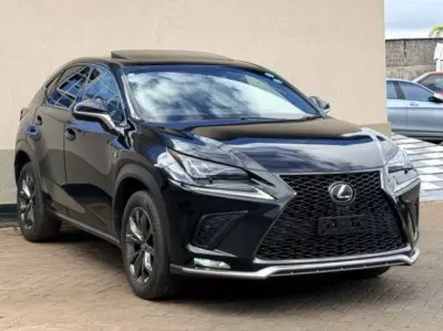 Lexus NX 300
