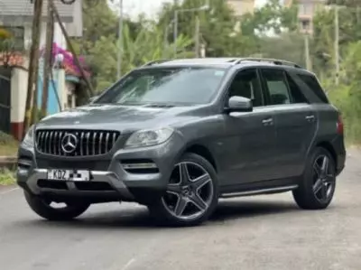 Mercedes-Benz ML 250