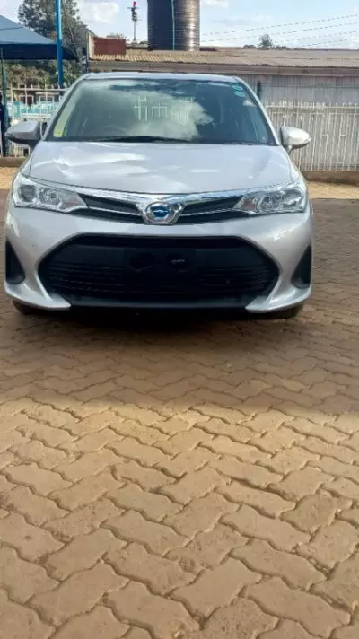 TOYOTA Axio 