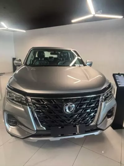 DONGFENG RICH