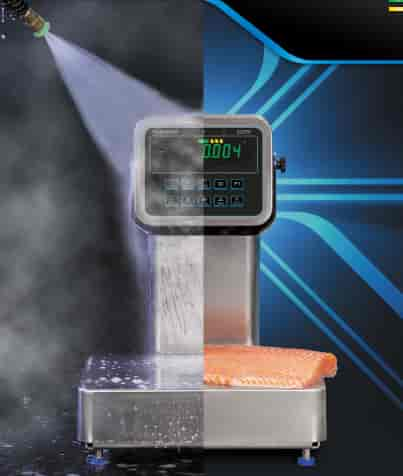 Industrial waterproof weighing scale