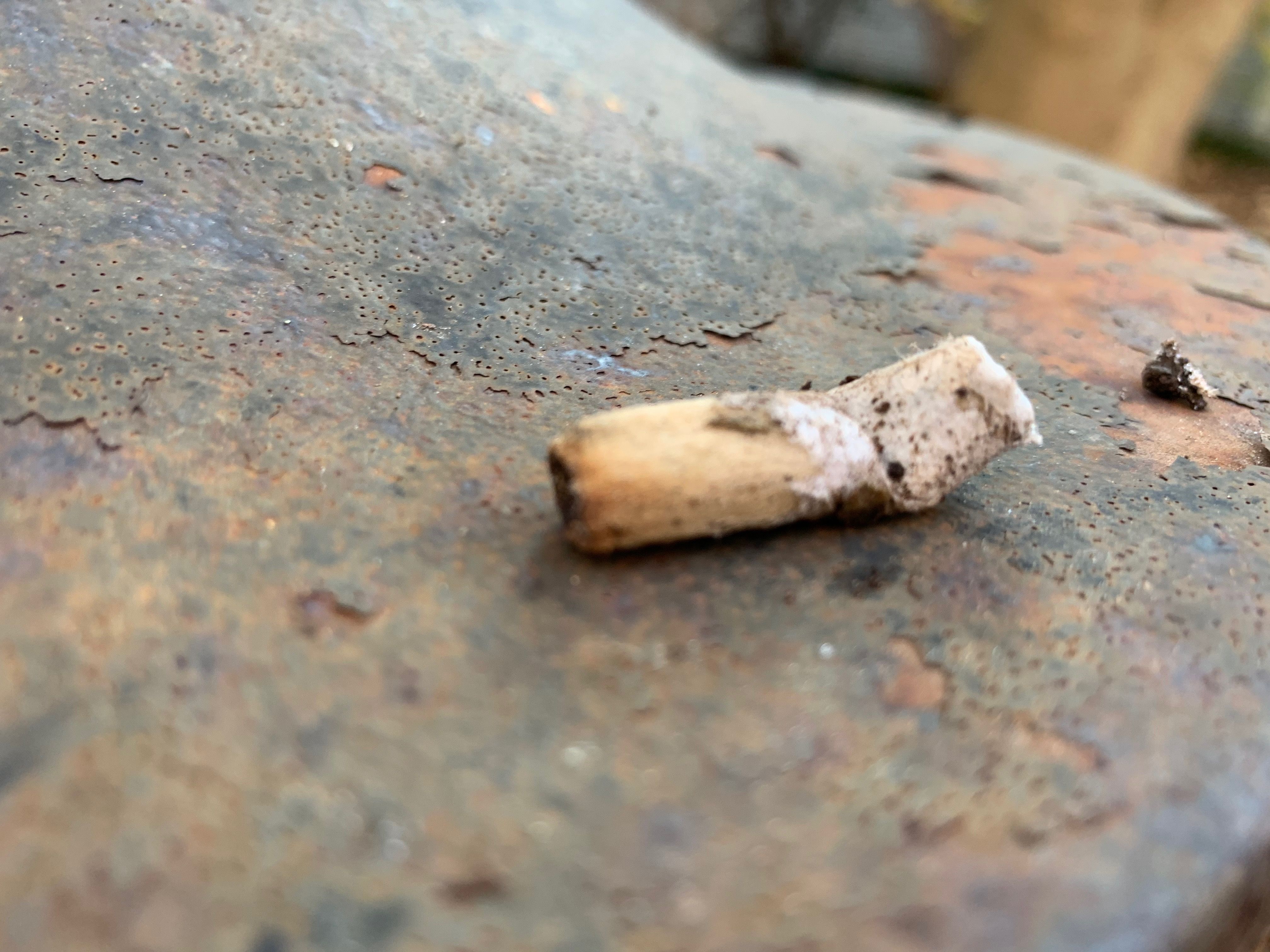 The remains of a cigarette laying on the edge of an outdoor ashtray. Photo credit by Gabrielle Cellucci