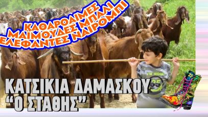 Κατσίκια Δαμασκού “Ο Στάθης” | Ράδιο Αρβύλα | Top Επικαιρότητας (12/11/2024)