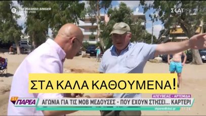 «Εϊδα τον Μητσοτάκη και με τσίμπησε ΤΣΟΥΧΤΡΑ», άτυχος λουόμενος τα λέει στον ΣΚΑΙ