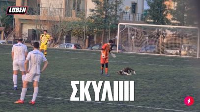 ΣΚΥΛΙΙΙΙ: Συμπαθής ΣΚΥΛ μπουκάρει στα τοπικά της Πάτρας και τρελαίνει την κερκίδα | Luben TV