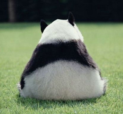 wKgByU_X_HmdHuodAAB2Hs-oo9g33
