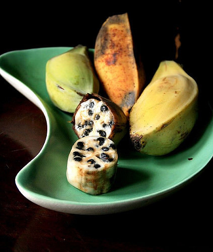wild banana