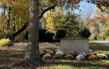 Cabrini University entrance sign with flower bed and trees