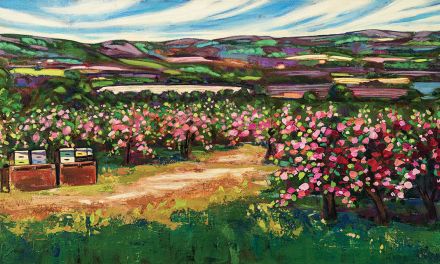 Field Notes: Margaret Cora Schmor