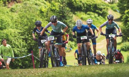 The Collingwood Collective: The Collective Shift