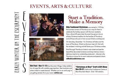 Events, Arts & Culture