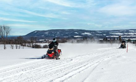 Local Snowmobiling: Frozen Highways