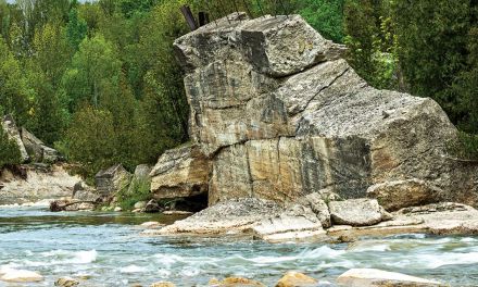 The River is Calling and I Must Go