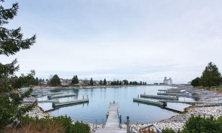 In With The New – showcasing the view
